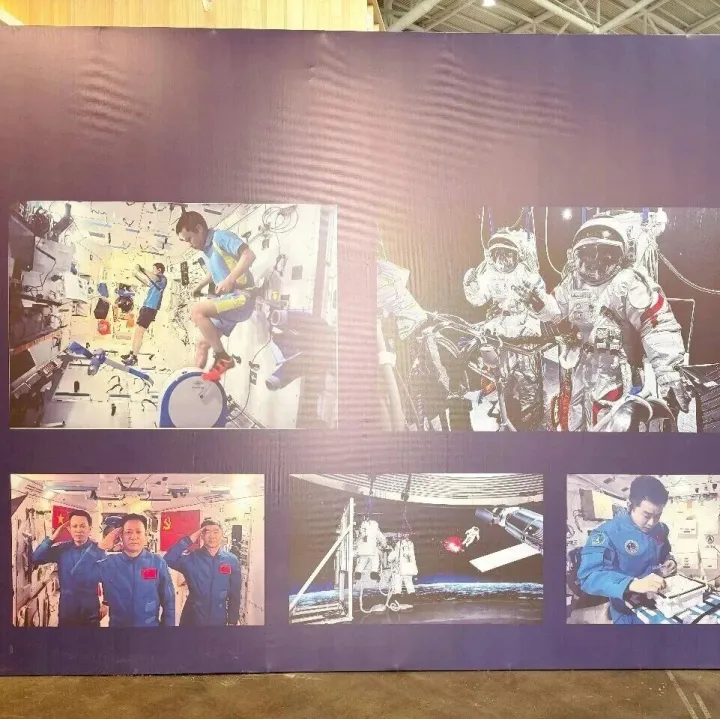 阜阳家长、小孩速看！这个展览，不容错过！