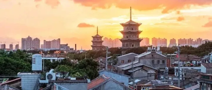 凝心聚力，行稳致远 | 回顾泉州市文旅局年度高光时刻！