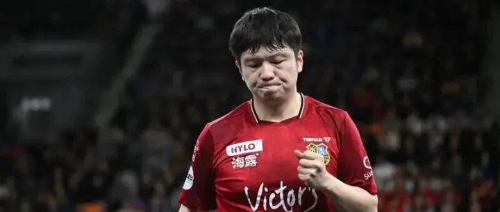 樊振东匿名为祖籍地湖南祁东捐款修路 5年累计公益捐款近280万