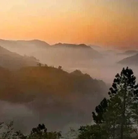 敦众文化2026年课程及研学活动预告