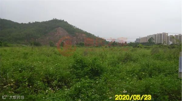 惠东13号地现状.jpg