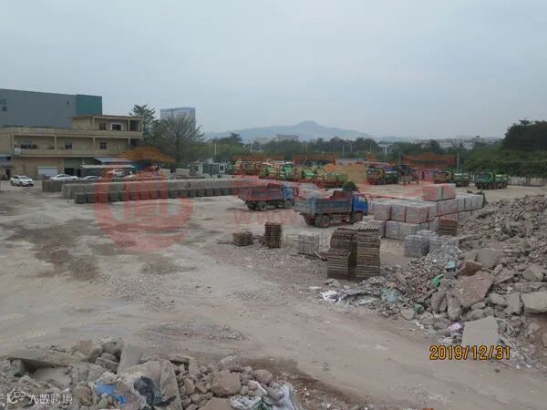 惠阳12号现�?jpg