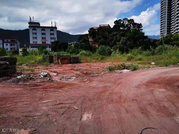 大亚�?8号现�?jpg