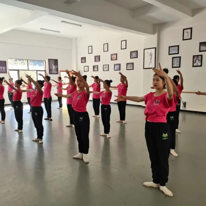 临沧市桑嘎艺术学校舞蹈教师及舞蹈演员招聘公告