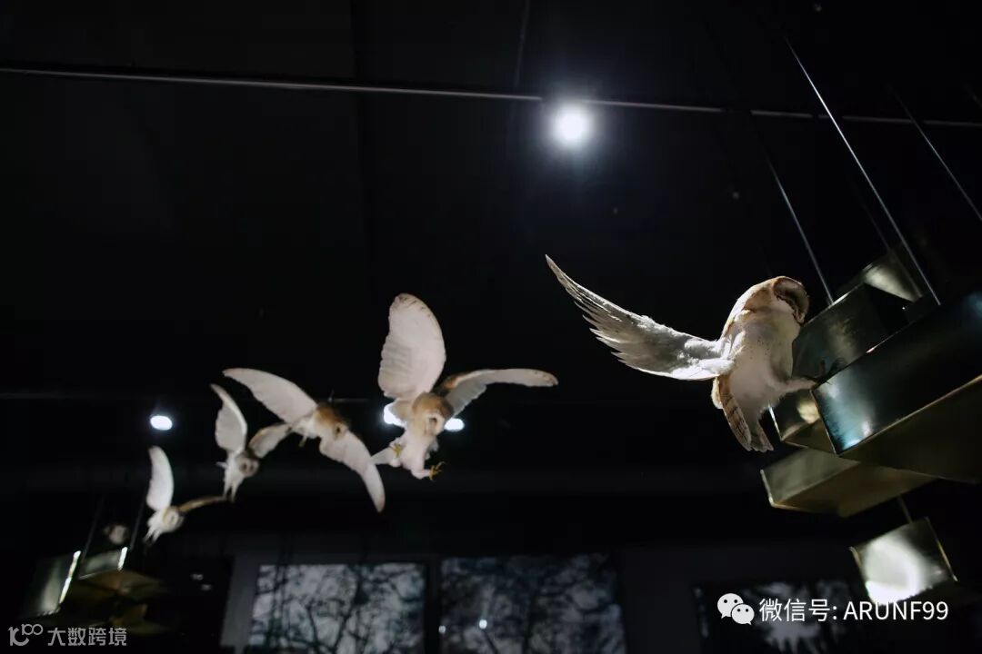 克罗地亚Adriatic艺术酒店设计