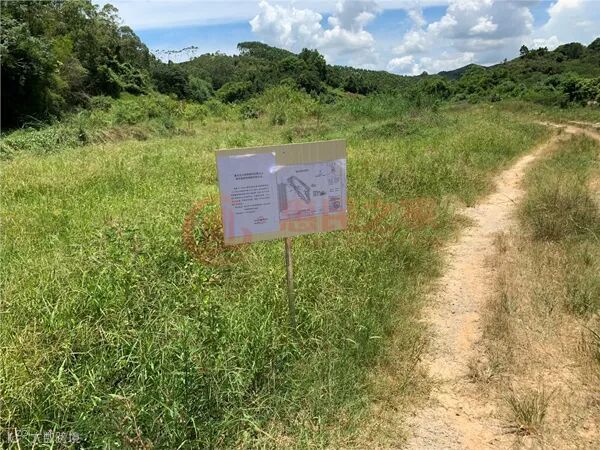 惠东17号现�?jpg