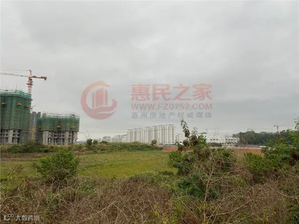 仲恺18号现�?jpg