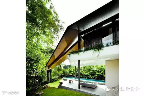 矗立在棕桐树中的高贵