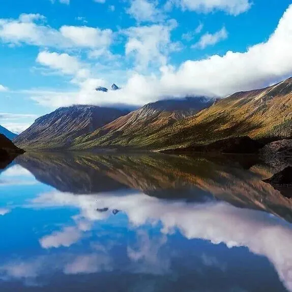 藏地春归处，桃花满<em>林芝</em>