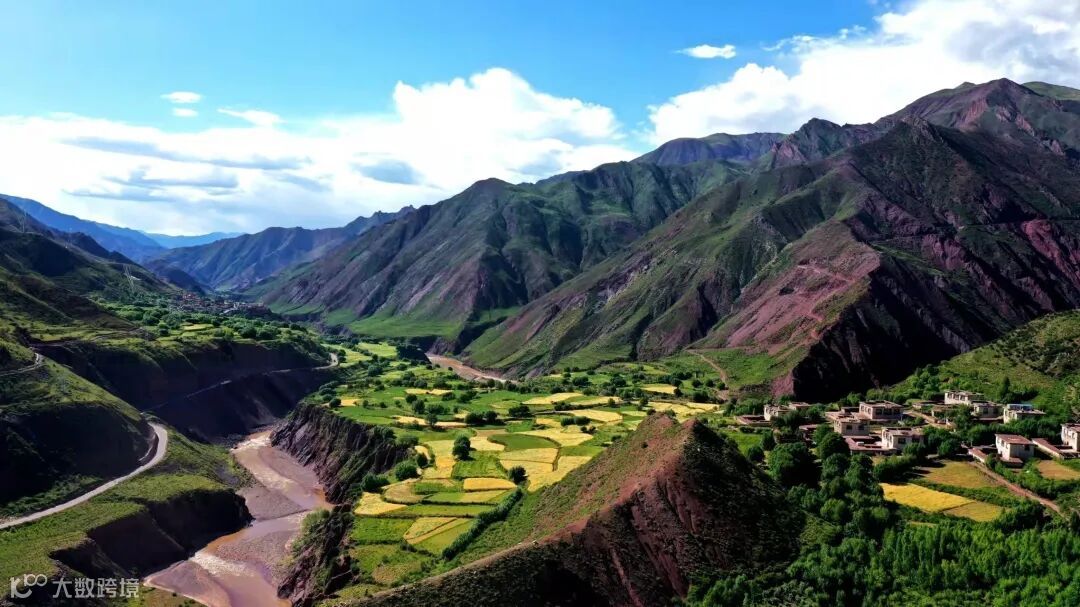 1691685526313999.jpg?x-oss-process=style/w10