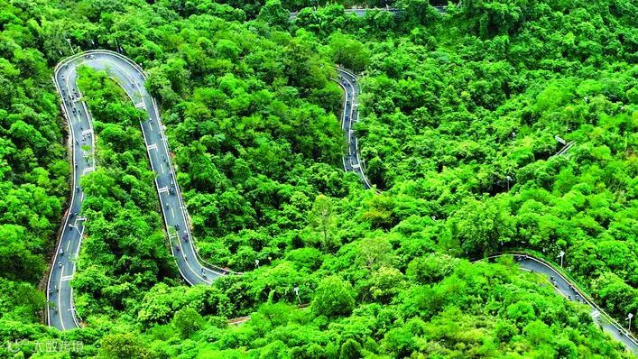 骑友在218最美旅游公路上骑行。惠州日报记者李松权 摄