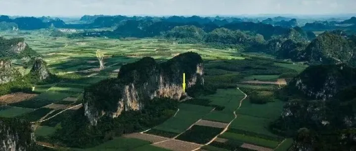 广西扶绥发现东亚—东南亚迄今最早墓葬群