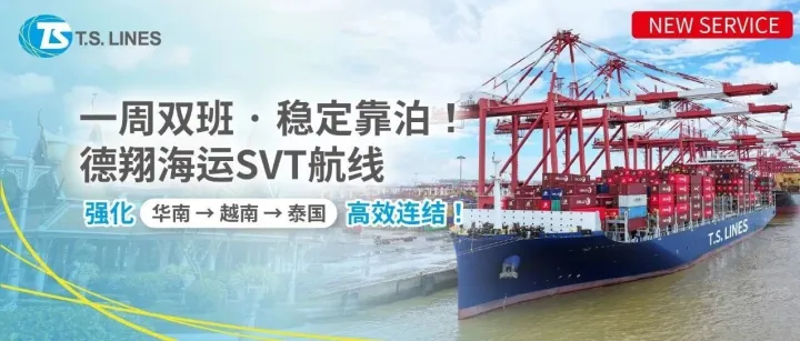一周双班 · 稳定靠泊！德翔海运SVT航线强化华南—越南—泰国高效连结！