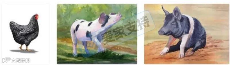 6-cv-01715，219店踩雷！横斑岩鸡版权案引爆跨境圈"