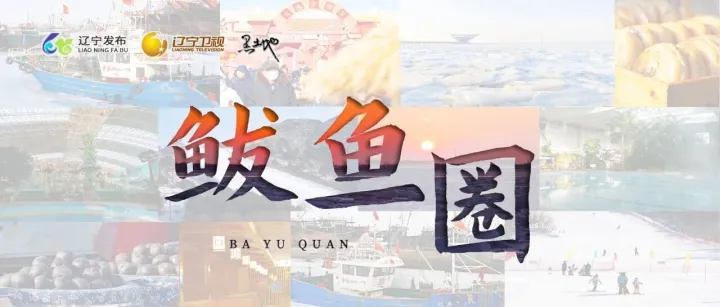 看辽宁·四季风土 | 山海林泉 鲅鱼圈冬景（文末有福利）