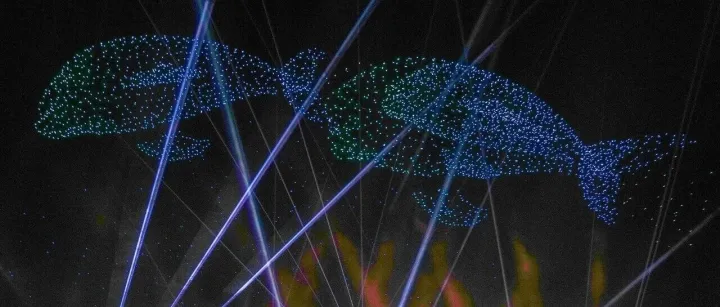 2026湛江春节无人机表演活动汇总！