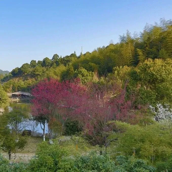 灵工杂谈（四）：灵工平台重构下的用工新格局、挑战与破局路径