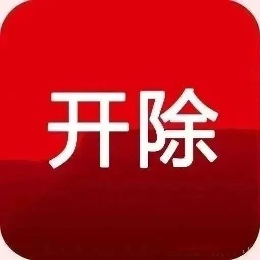 严重违纪违法！广西一干部被“双开”