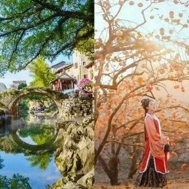 恭喜，广西4县10乡镇入选！