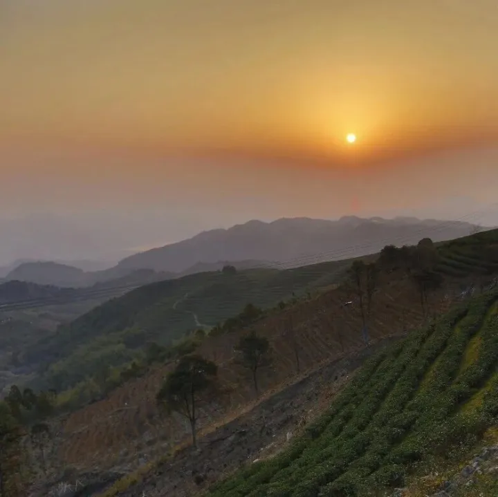 合肥市副市長何逢陽一行深入產(chǎn)業(yè)園走訪調(diào)研