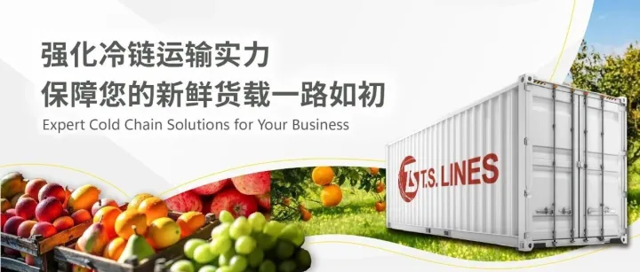 强化冷链运输实力，保障您的新鲜货载一路如初