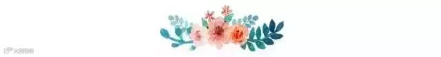 鲜花朵朵 分割线