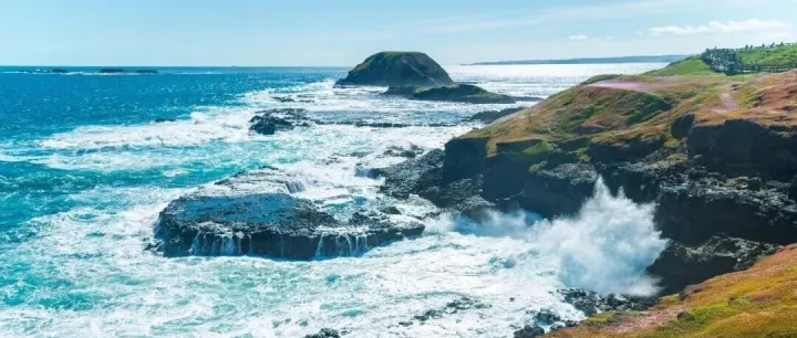 澳大利亚 · 维多利亚菲利普岛 | 金冠#D058