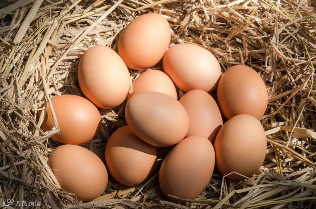 鸡蛋4.jpg