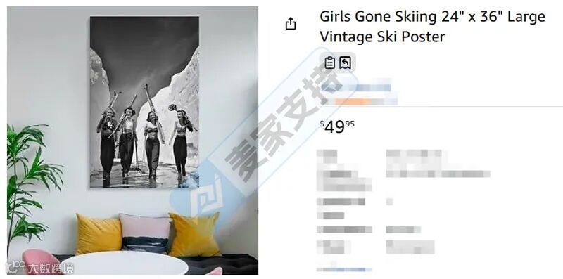 Ruediger Lauktien版权&Girls Gone Skiing商标双双维权,当心TRO冻结风险