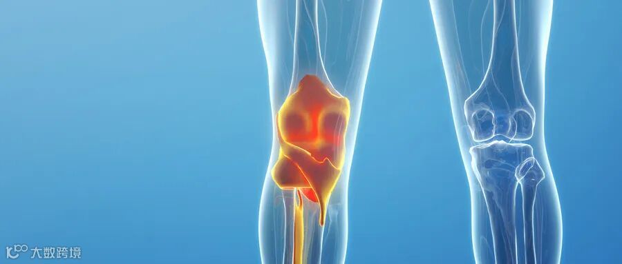 摄图网_401806937_膝关节(企业商用).jpg