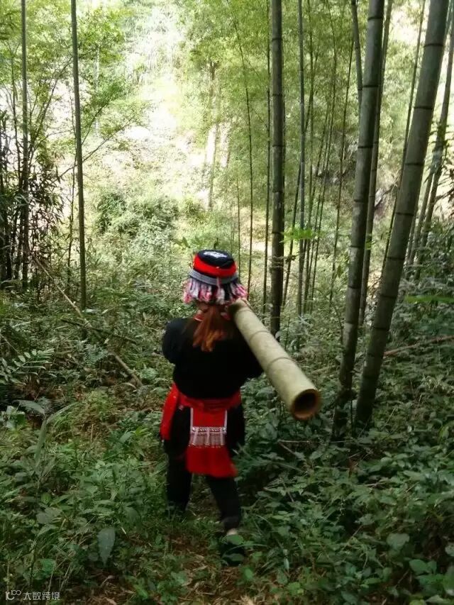 编辑区添加图片模板,点击图片区域可以更换图片。