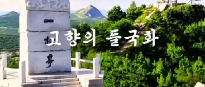 | 연변음악 | 고향의 들국화