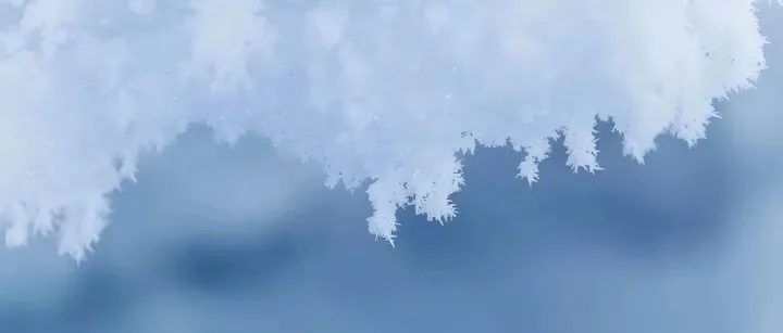 瑞雪兆丰年，南京此刻下雪了！