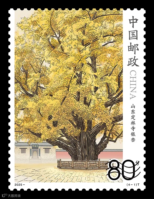 微信图片_20250815154259