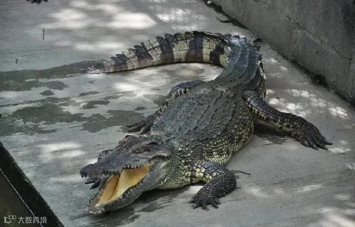 166ddcab5ad50364fa53d1f72f3619f1_640_from=appmsg&t