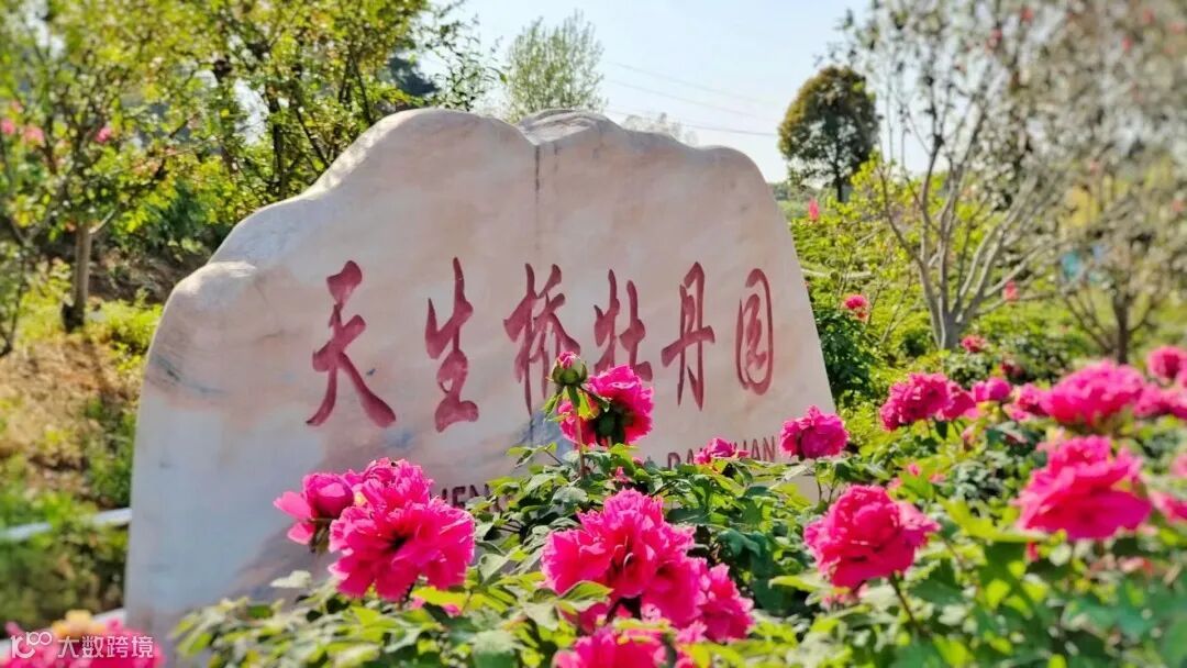 天生桥牡丹园 (1).jpg