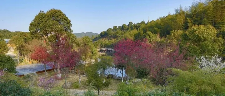 从“外包”到“伙伴”：行政人事如何有效管理IT运维外包服务商