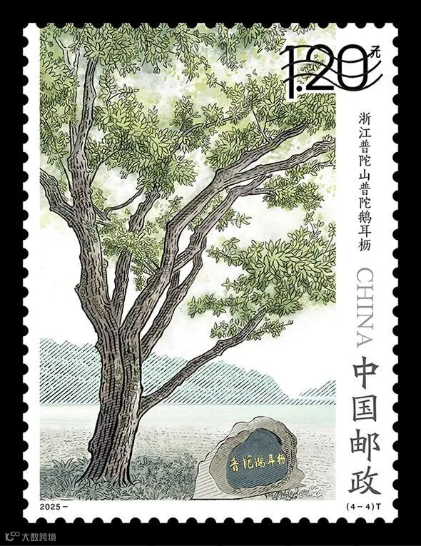 微信图片_20250815154306