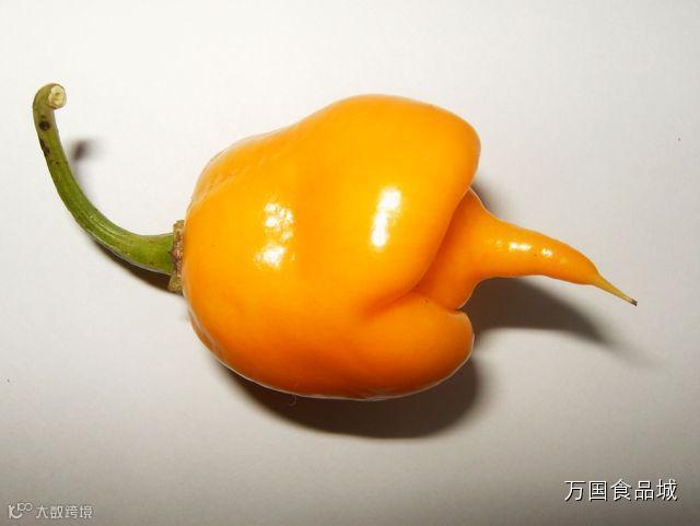 世界上最辣的八种辣椒