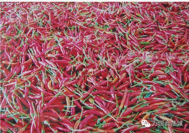 世界上最辣的八种辣椒