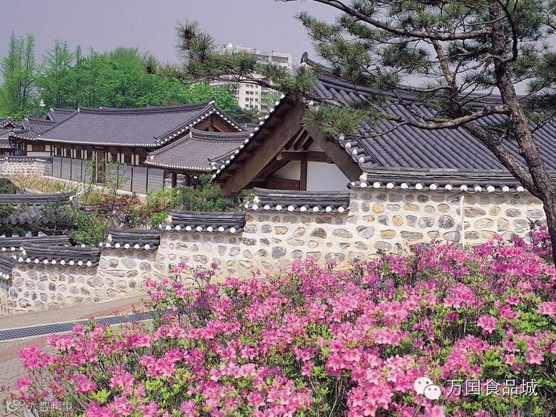 去韩国旅游必须体验的项目,你一个都不能错过