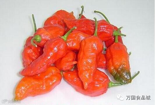 世界上最辣的八种辣椒