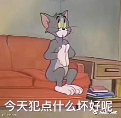 图片14.png