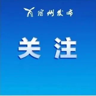皖<em>L</em>车主速看