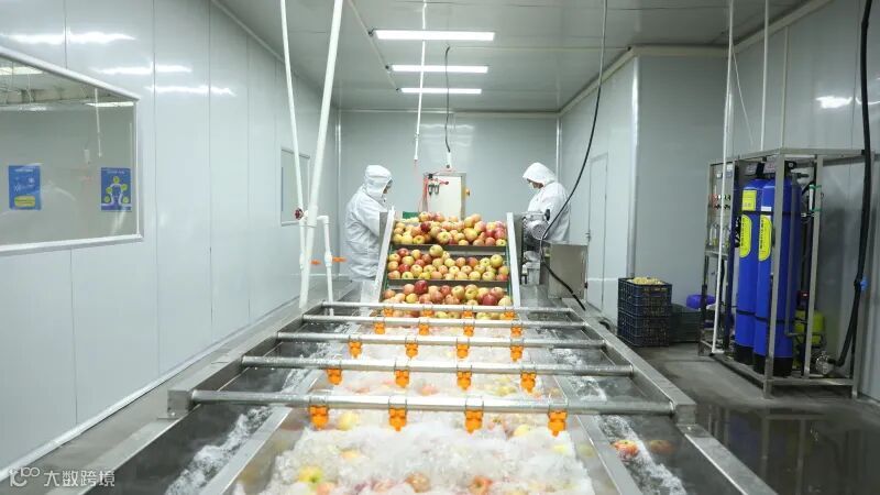 mmexport1767069817520