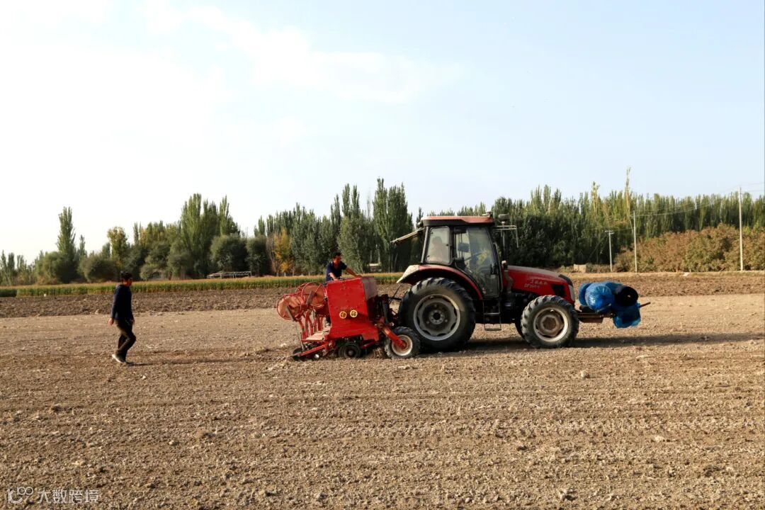 播种冬小麦.jpeg