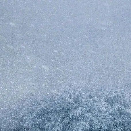 暴风雪！降温12～16℃！阵风8～9级！黑龙江这些地区注意