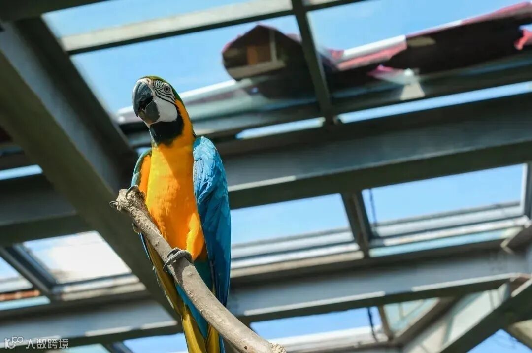 f1f59fb26286fc2e9423b550a8f0757e_640_wx_fmt=jpeg&f