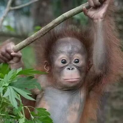 微信图片_20251127160904_773_72