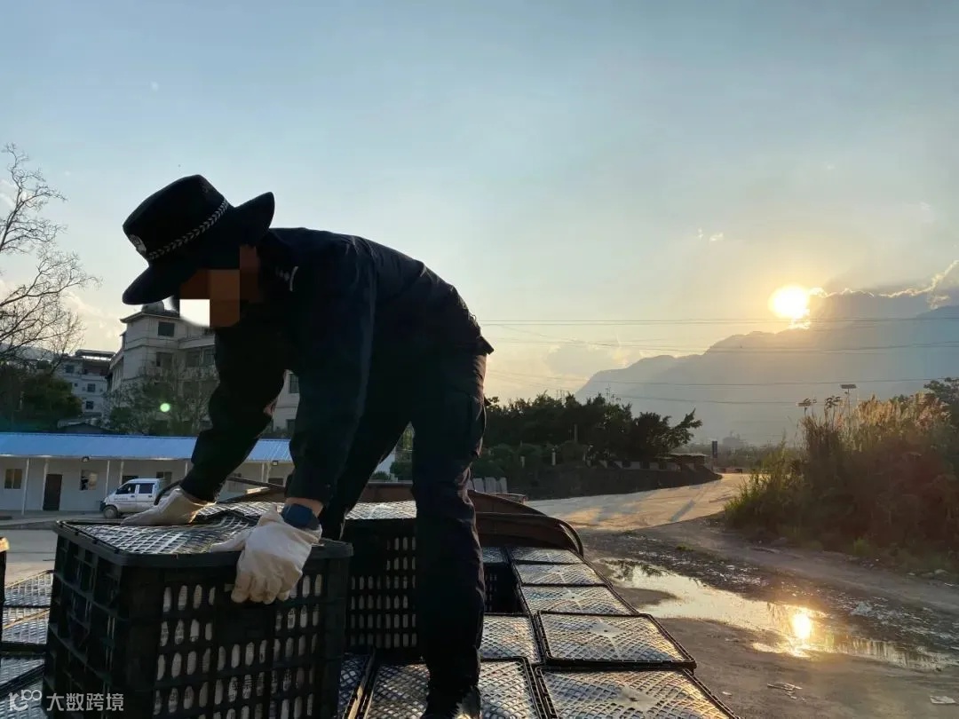 1714704558277703.jpeg?x-oss-process=style/w10